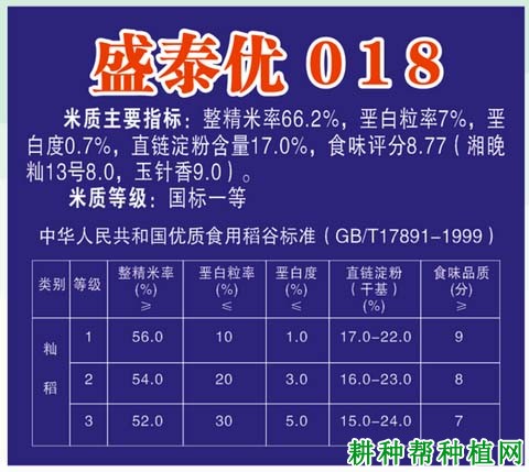 盛泰优018水稻品种好不好? 盛泰优018水稻品种好不好?