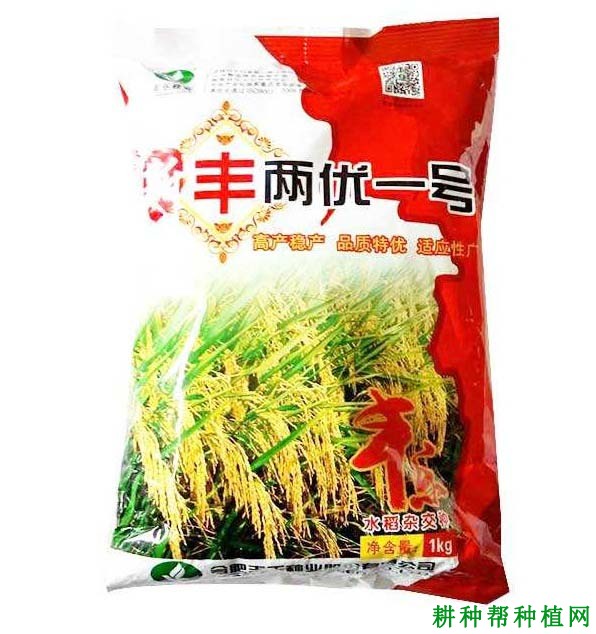 丰两优一号水稻品种好不好? 丰两优一号水稻品种好不好?