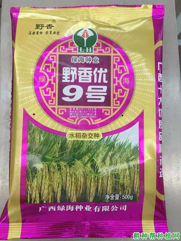 野香优9号水稻品种好不好? 野香优9号水稻品种好不好?