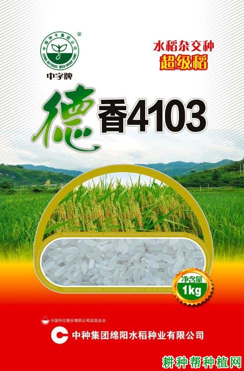 德香4103水稻品种好不好? 德香4103水稻品种好不好?