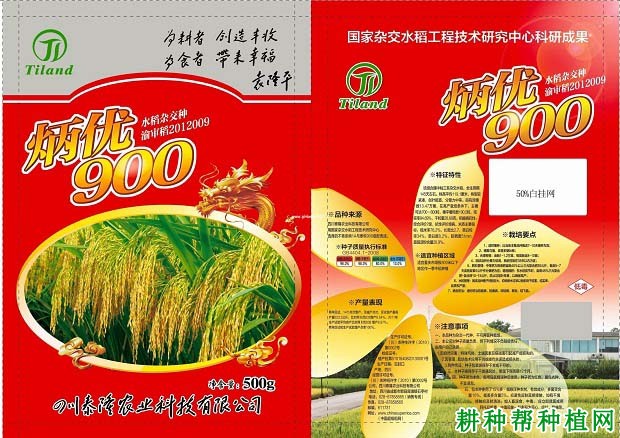 炳优900水稻品种好不好? 炳优900水稻品种好不好?