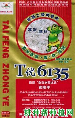 T优6135水稻品种好不好? T优6135水稻品种好不好?