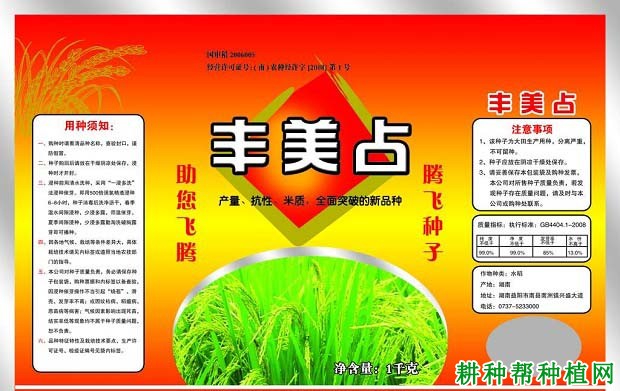 丰美占水稻品种好不好? 丰美占水稻品种好不好?