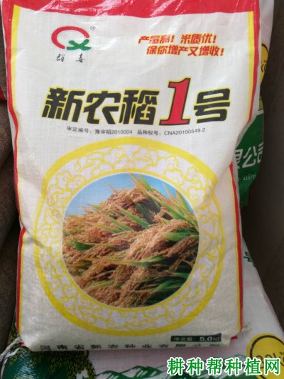 新农稻1号水稻品种好不好? 新农稻1号水稻品种好不好?