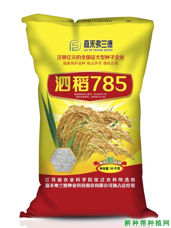 泗稻785水稻品种好不好? 泗稻785水稻品种好不好?