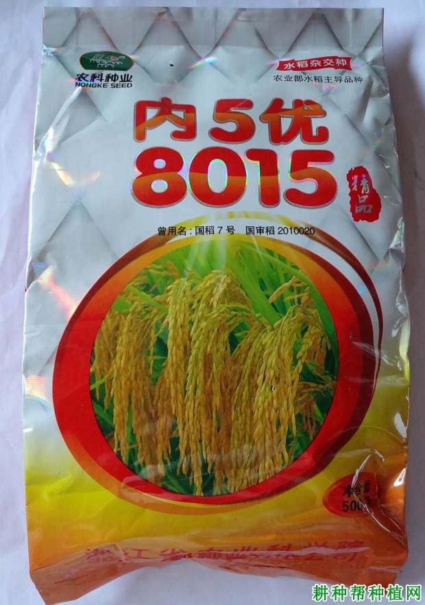 内5优8015水稻品种好不好? 内5优8015水稻品种好不好?