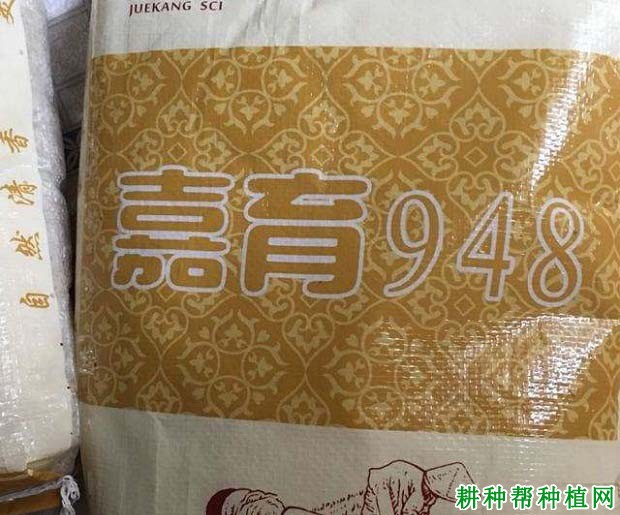 嘉育948水稻品种好不好? 嘉育948水稻品种好不好?