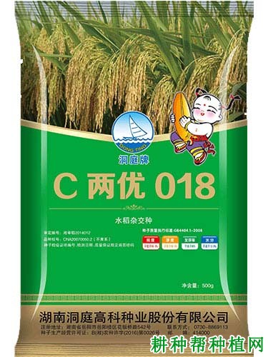 C两优018水稻品种好不好? C两优018水稻品种好不好?