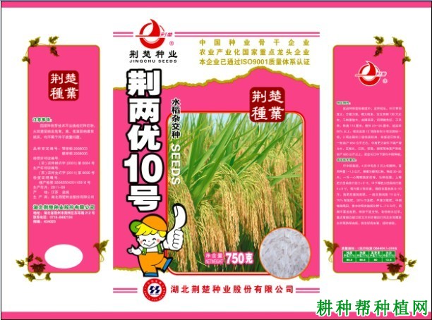 津原11水稻品种好不好? 津原11水稻品种好不好?