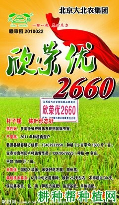 欣荣优2660水稻品种好不好? 欣荣优2660水稻品种好不好?
