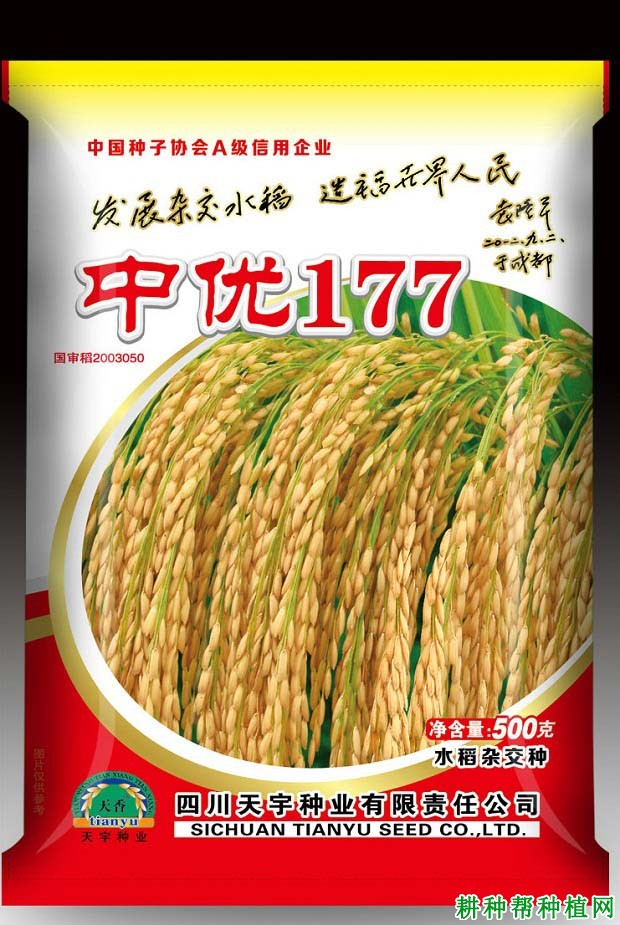 中优117水稻品种好不好? 中优117水稻品种好不好?