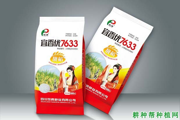 宜香优7633水稻品种好不好? 宜香优7633水稻品种好不好?