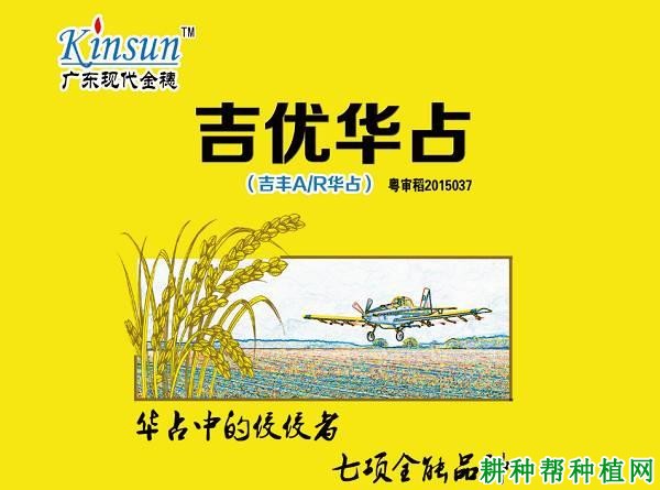 吉优华占水稻品种好不好? 吉优华占水稻品种好不好?