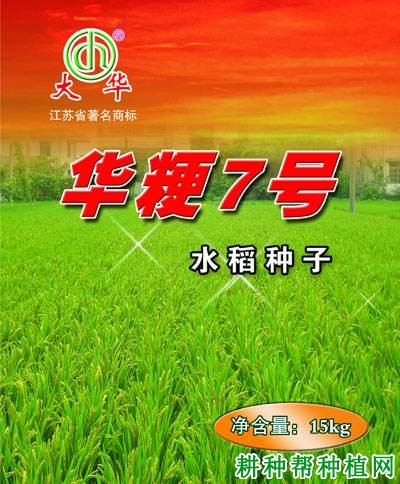 华粳7号水稻品种好不好? 华粳7号水稻品种好不好?
