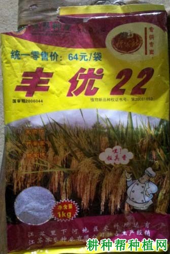 丰优22水稻品种好不好? 丰优22水稻品种好不好?