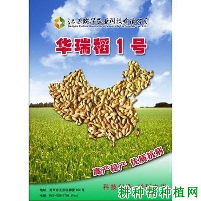 华瑞稻1号水稻品种好不好? 华瑞稻1号水稻品种好不好?