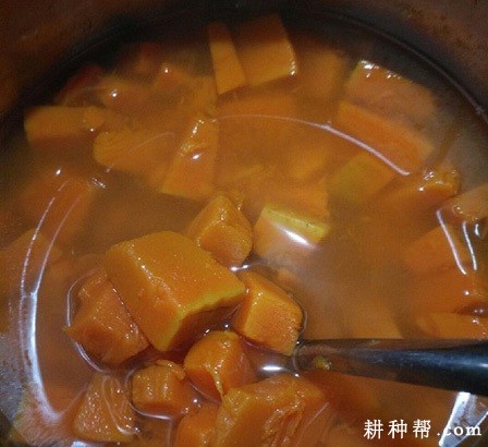 南瓜的药用价值是什么? 南瓜的药用价值是什么?