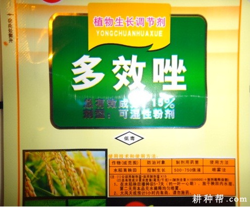 西葫芦苗期用什么药控旺？