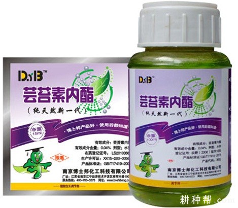 西葫芦种子可以用什么药浸种？