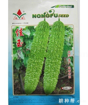 佳玉苦瓜品种好不好? 佳玉苦瓜品种好不好?