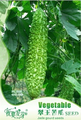 翠玉苦瓜品种好不好? 翠玉苦瓜品种好不好?