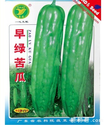 早绿苦瓜品种好不好? 早绿苦瓜品种好不好?