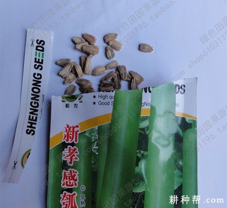 瓠瓜苗如何嫁接? 瓠瓜苗如何嫁接?