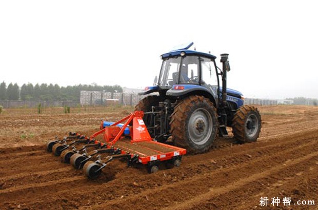 夏秋萝卜如何种植? 夏秋萝卜如何种植?