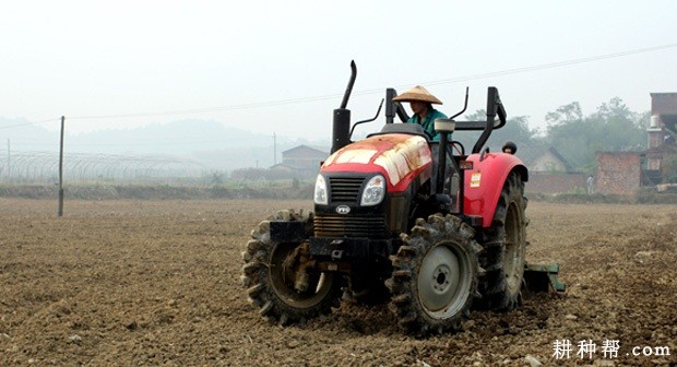 怎么种植秋冬萝卜? 怎么种植秋冬萝卜?