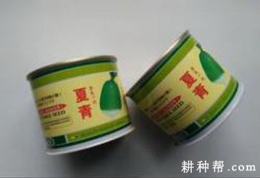 夏青55号萝卜品种好不好? 夏青55号萝卜品种好不好?