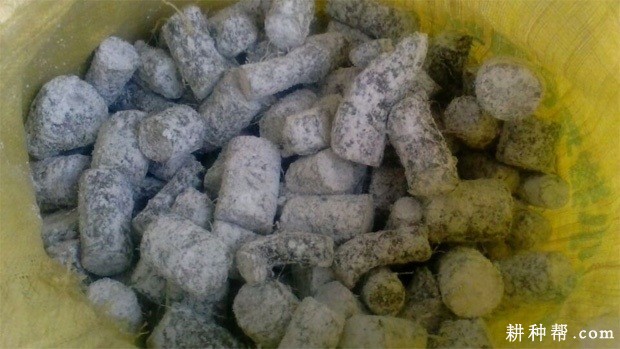 山药种薯如何消毒处理? 山药种薯如何消毒处理?