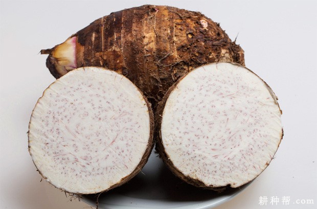 芋头含有哪些营养成分? 芋头含有哪些营养成分?