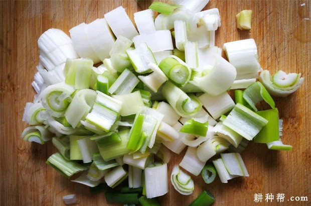 吃大葱的好处和坏处是什么? 吃大葱的好处和坏处是什么?