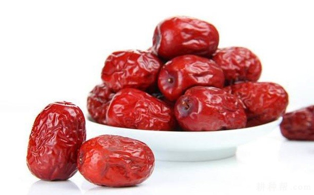 大葱不能和什么一起吃？