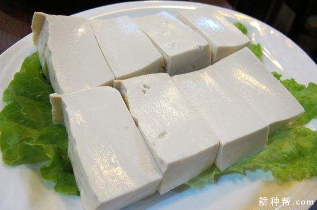 大葱不能和什么一起吃？