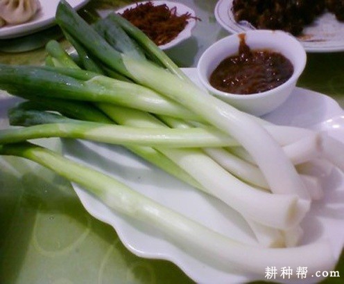 什么人适宜吃大葱？