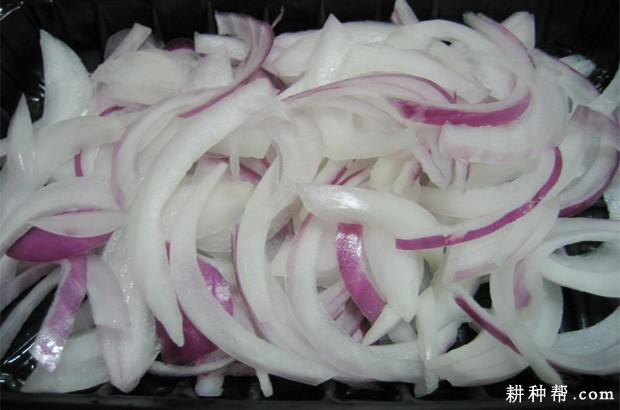 吃洋葱有什么好处? 吃洋葱有什么好处?