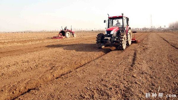 洋葱定植前如何整地? 洋葱定植前如何整地?