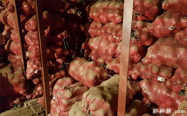 洋葱的贮藏方法有几种？