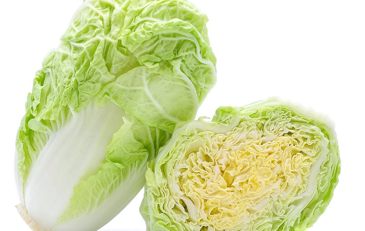 白菜的需肥规律