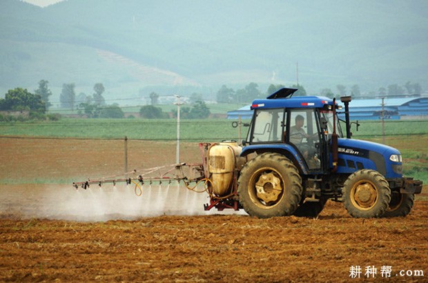 种植洋葱可以使用哪些除草剂？