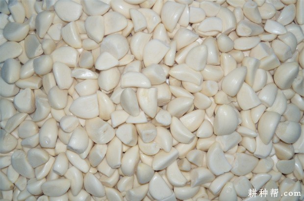 大蒜有哪些营养成分？