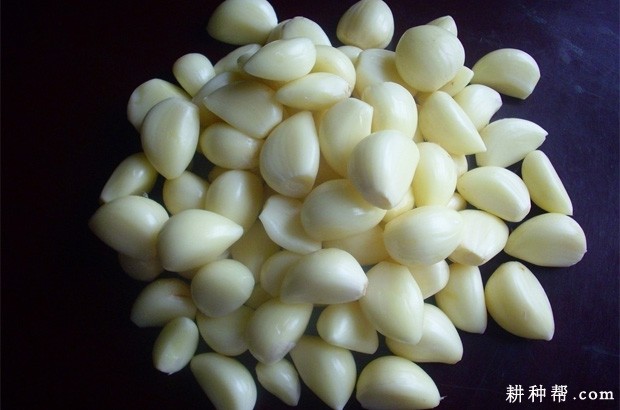 大蒜有哪些营养成分？