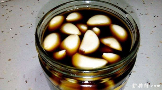 大蒜的功效与作用是什么？