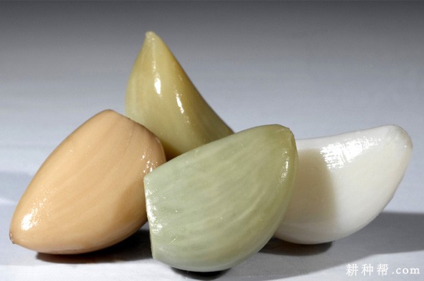 大蒜的功效与作用是什么？