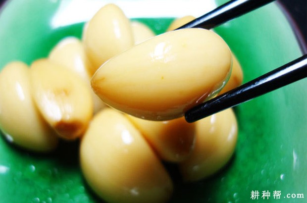 大蒜的功效与作用是什么？