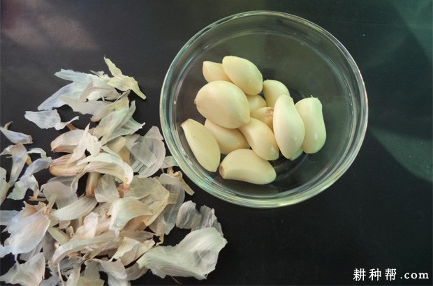 大蒜有什么药用价值？