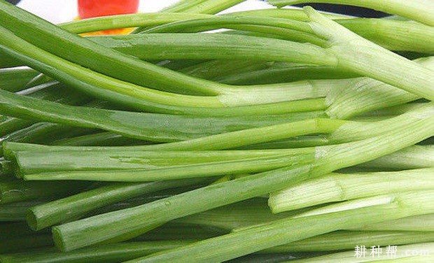 吃香葱有什么好处？