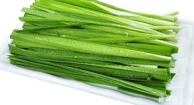 哪些人不宜吃韭菜？