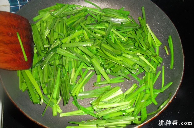 哪些人不宜吃韭菜？